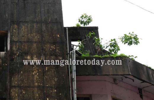 Central Market of Mangalore 